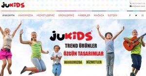 Bursa Reklamca Web Site Tasarım Hizmetleri