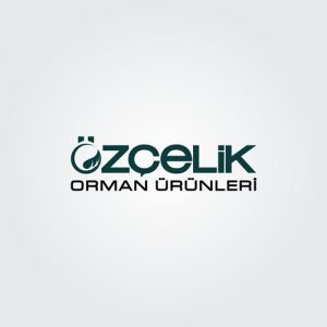 Bursa Logo Tasarım Hizmetleri