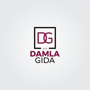 Bursa Logo Tasarım Hizmetleri